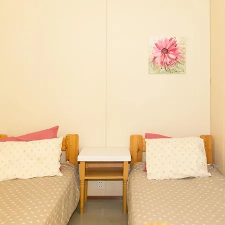 Nikkilaen Elaemyskylae * Saariharju