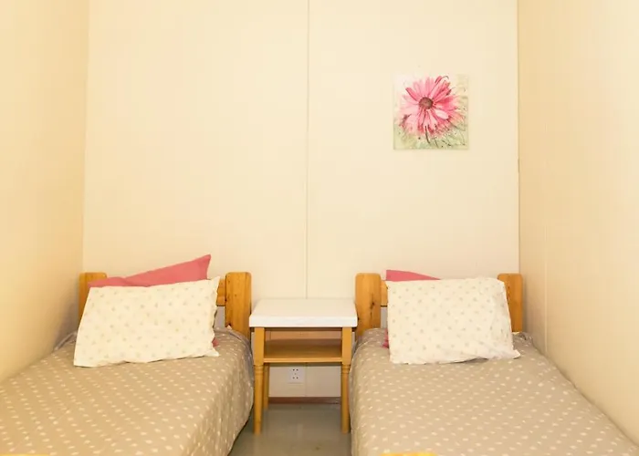 Nikkilaen Elaemyskylae * Saariharju